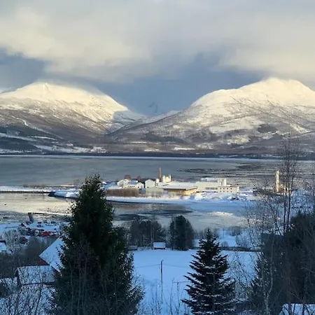 Enutsiktbalsfjord Leilighet Storsteinnes